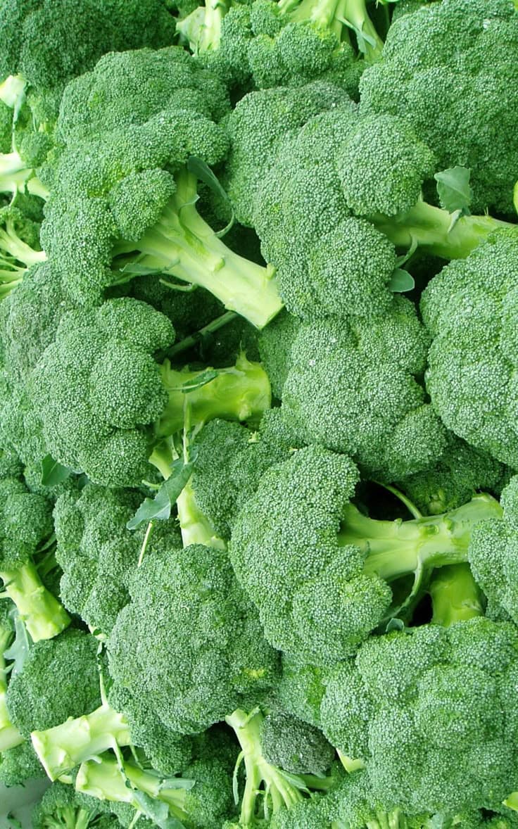 Frozen Broccoli