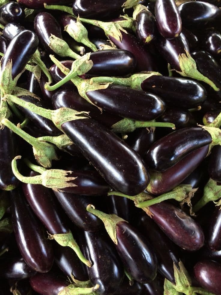 Frozen Eggplant