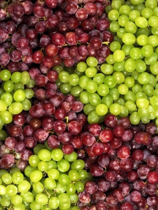 Fresh Grapes