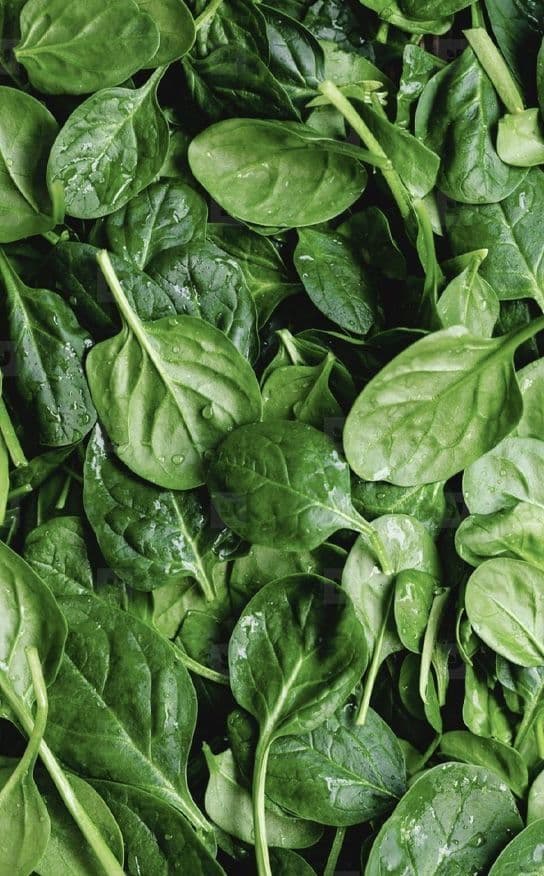 Frozen Spinach