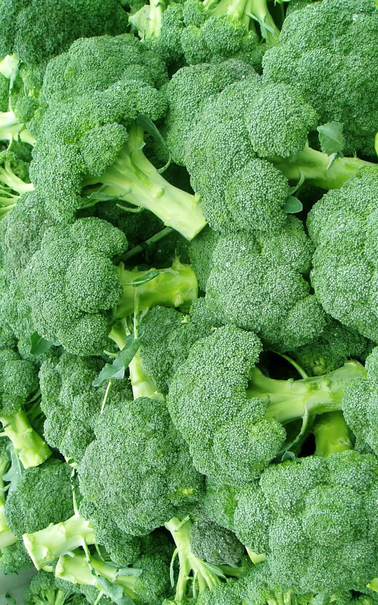 Frozen Broccoli